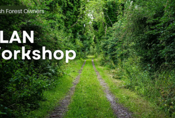 iPLAN Workshop Image